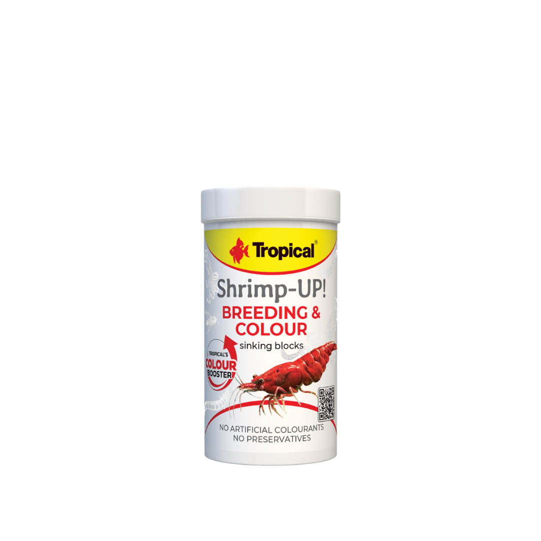 39662