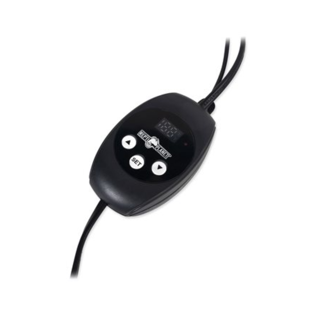 39256