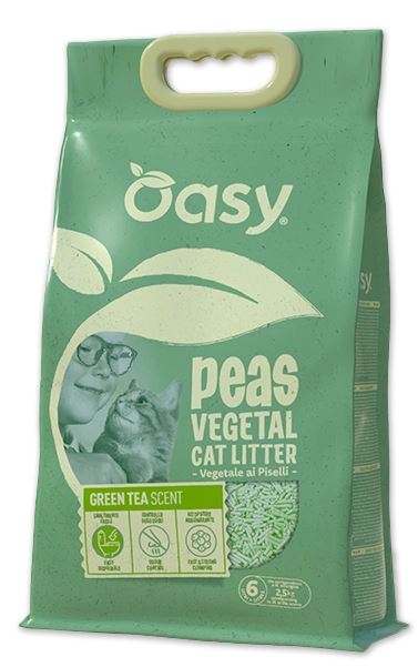 37776