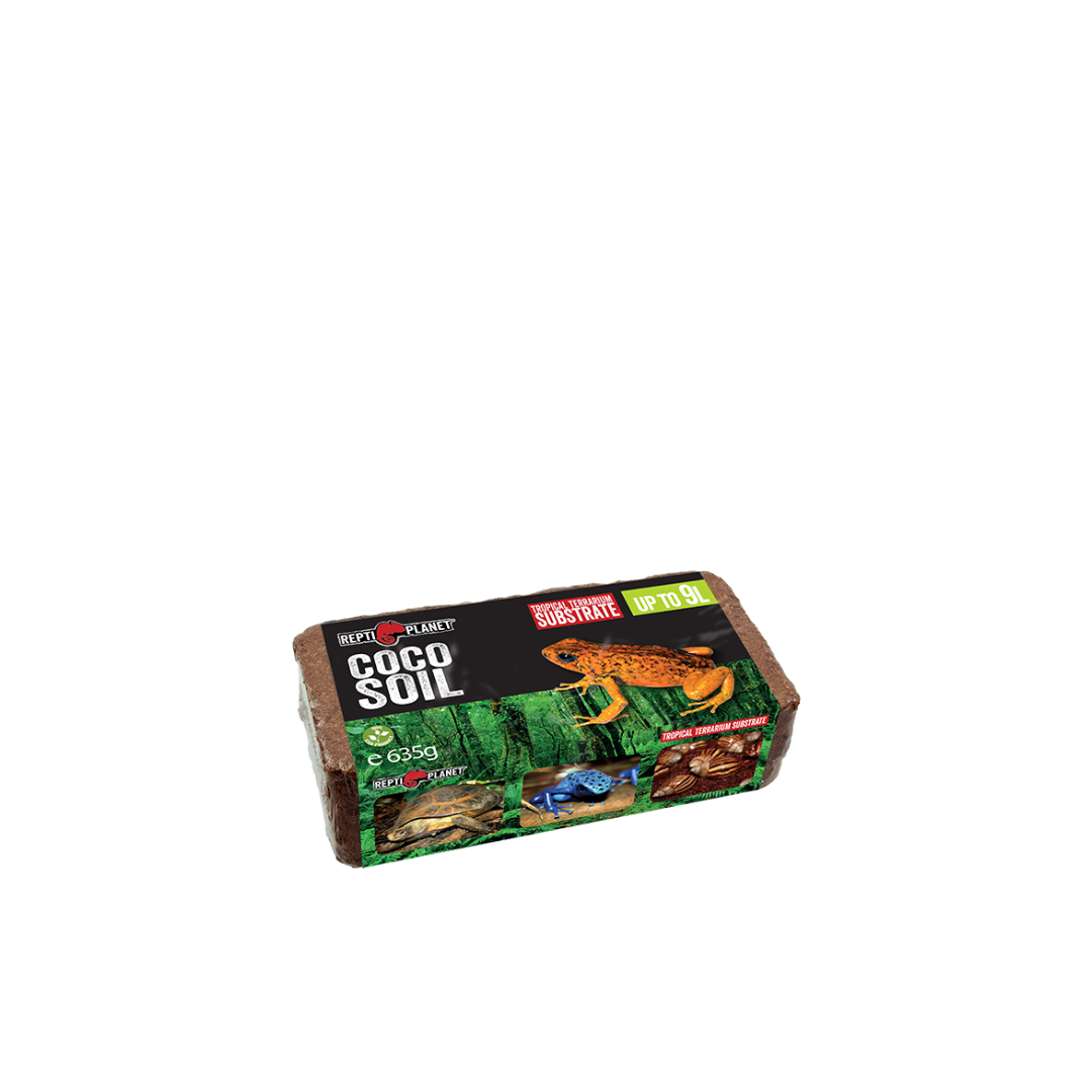 10798